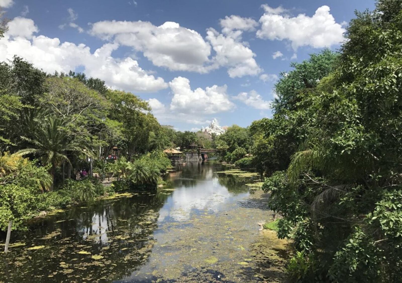 Disney's All-Star Music Resort en Disney World