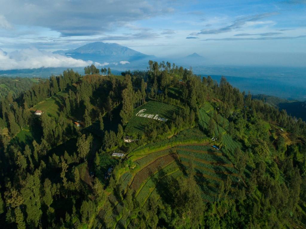 Plataran Bromo en Java Oriental - Bromo