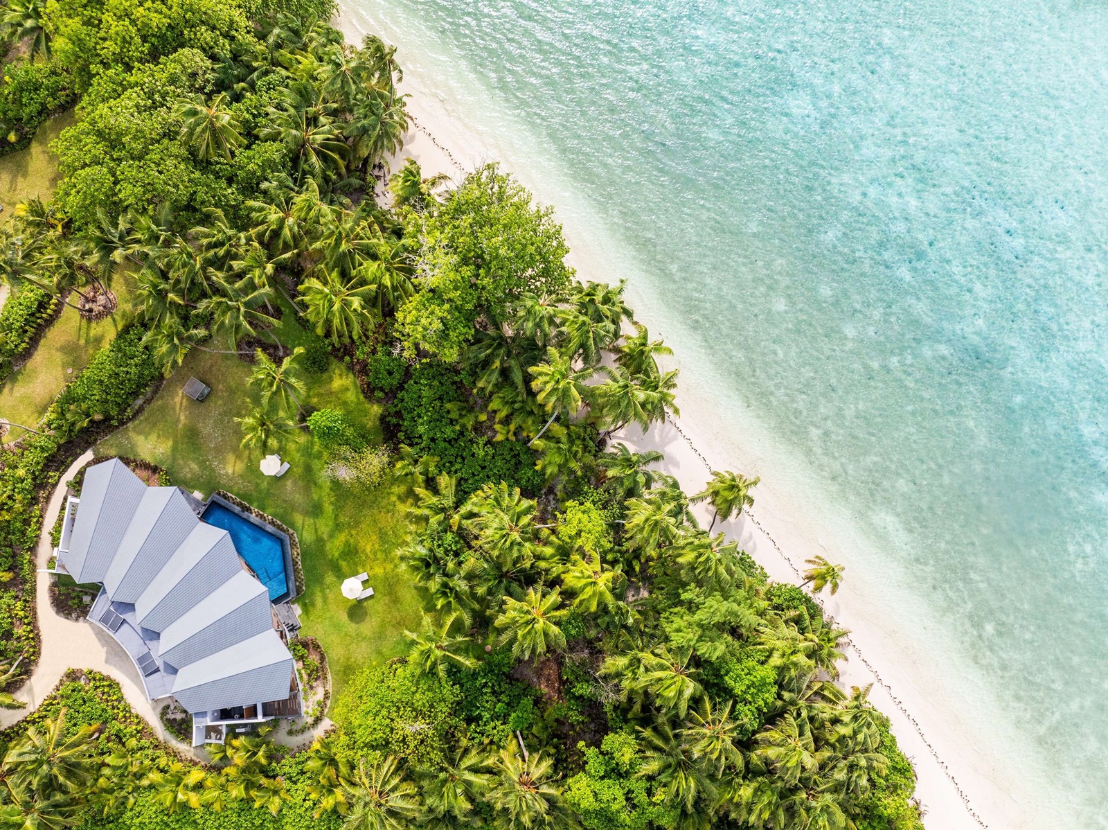 Exclusiva Kenia (Lewa, Enasoit) y Seychelles Waldorf Astoria diseñado por LAT.40