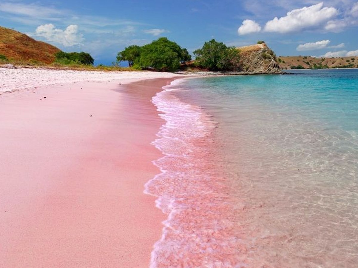 Multiara Laut en Raja Ampat