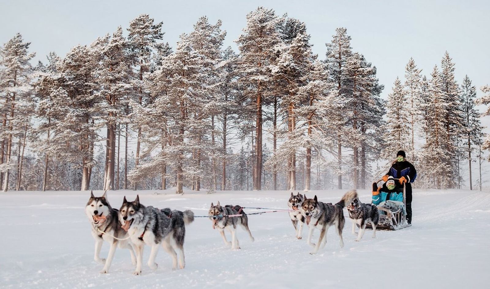 Arctic Light Hotel en Rovaniemi