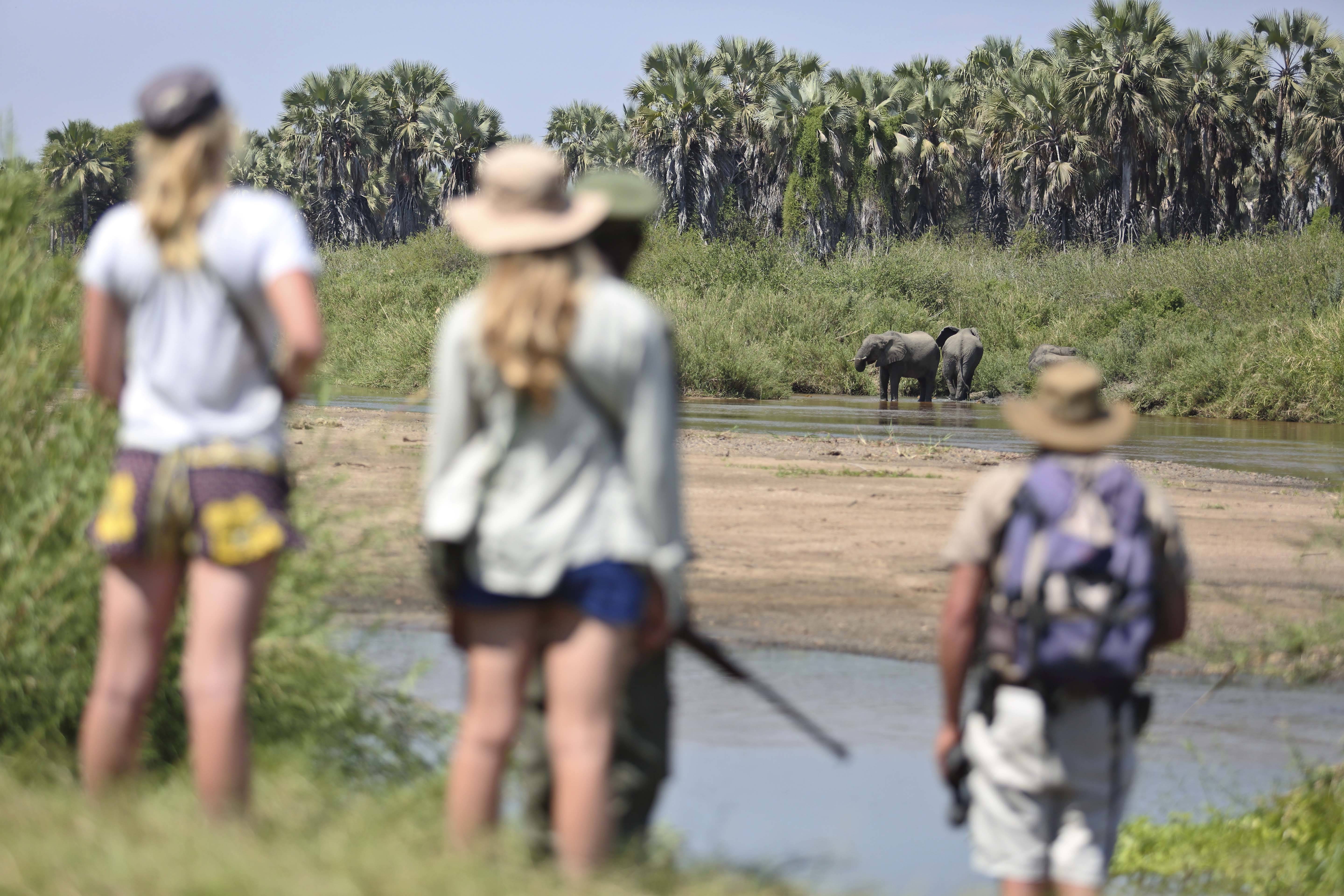 Kichaka Kidogo Flycamping en Ruaha