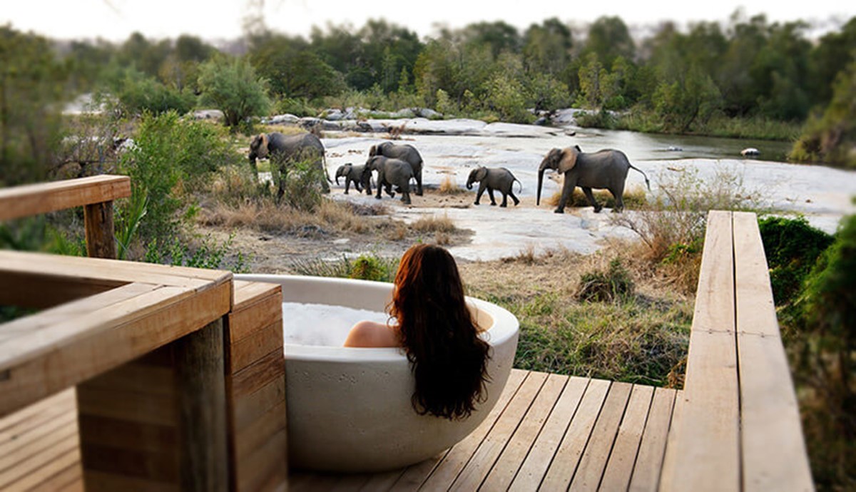 andBeyond Tengile River Lodge en Sabi Sands