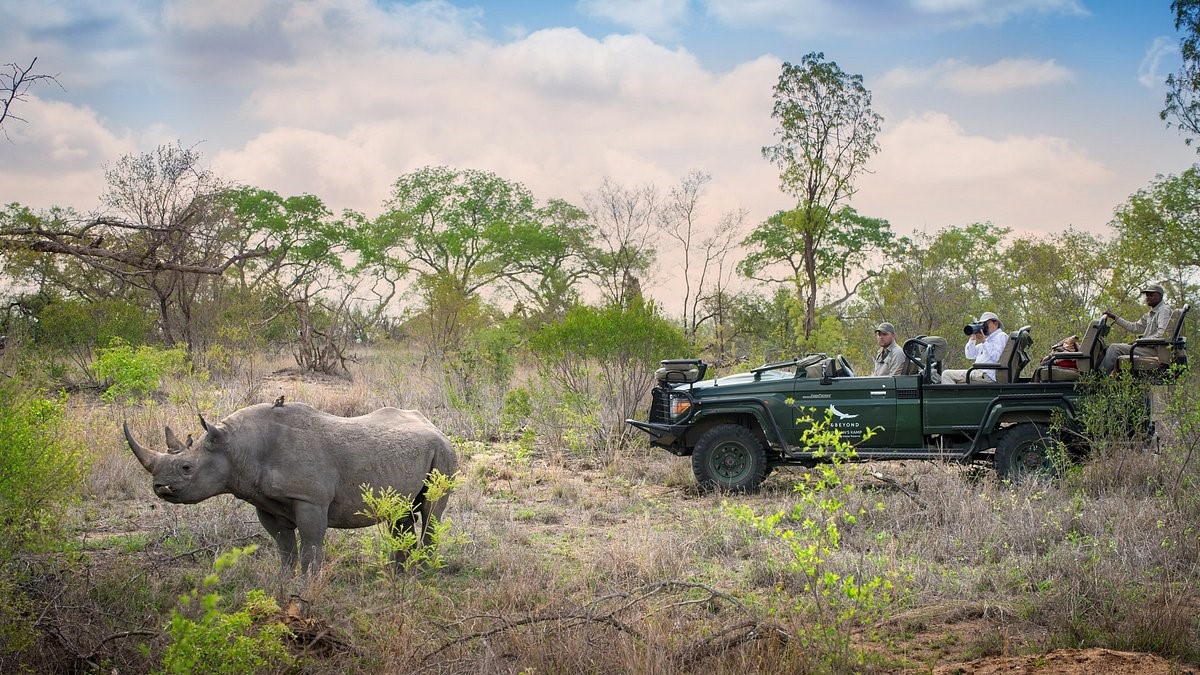 andBeyond Tengile River Lodge en Sabi Sands