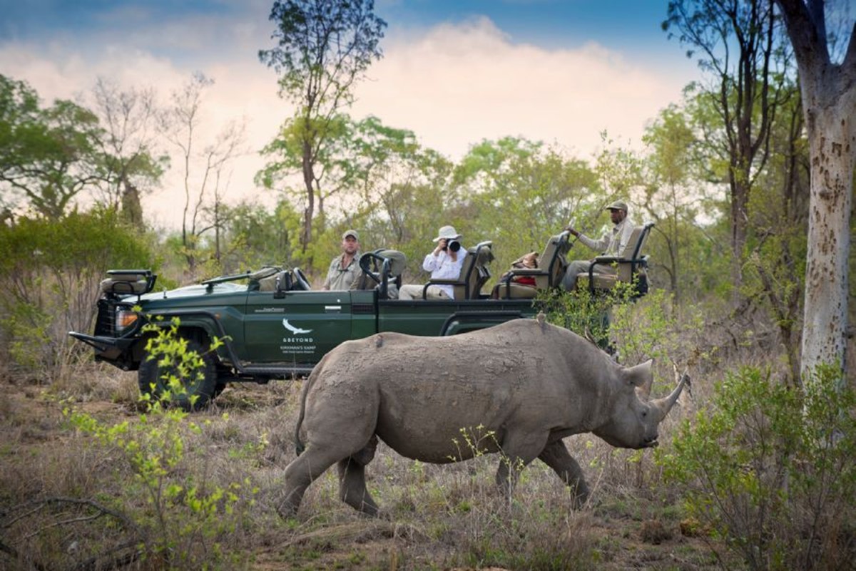 andBeyond Tengile River Lodge en Sabi Sands