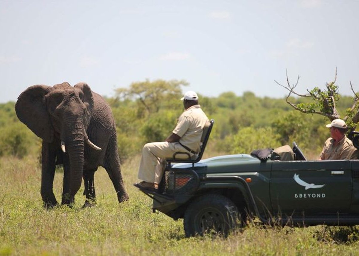 andBeyond Tengile River Lodge en Sabi Sands