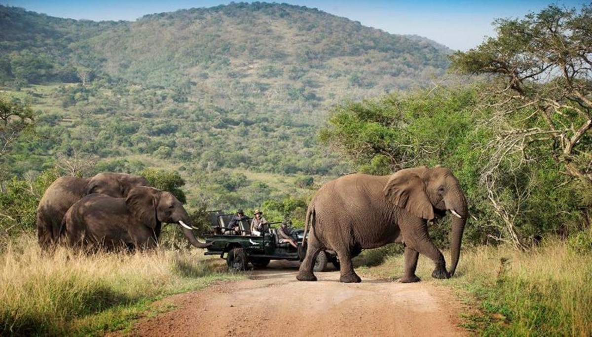 andBeyond Tengile River Lodge en Sabi Sands