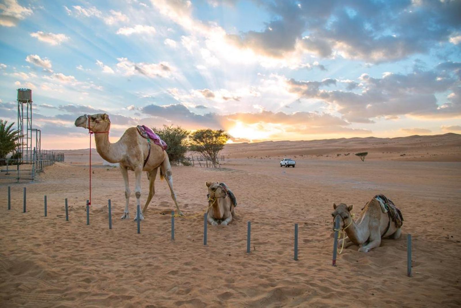 Sama Al Wasil Desert Camp en Wahiba Sands