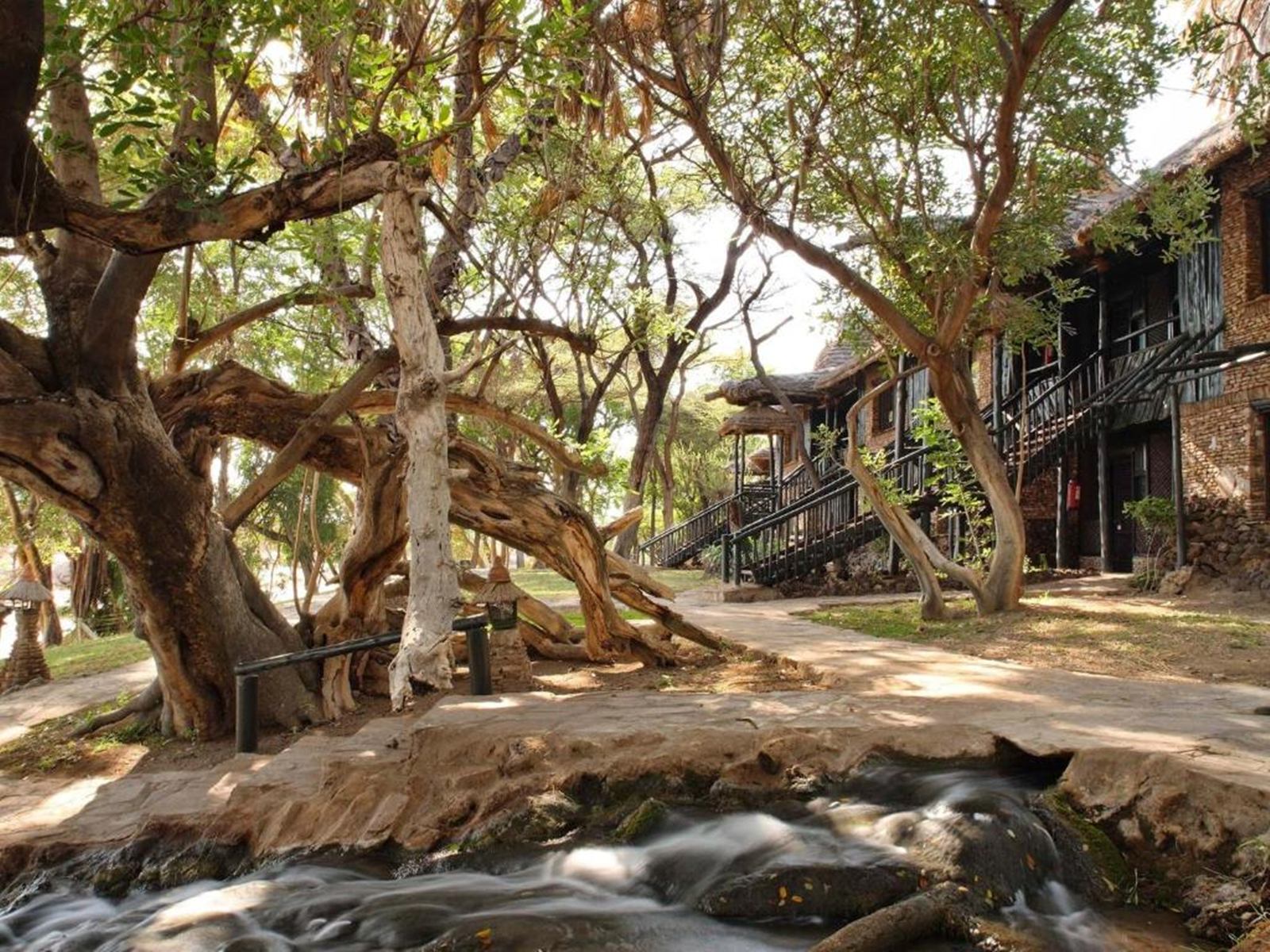 Sarova Shaba Game Lodge en Samburu