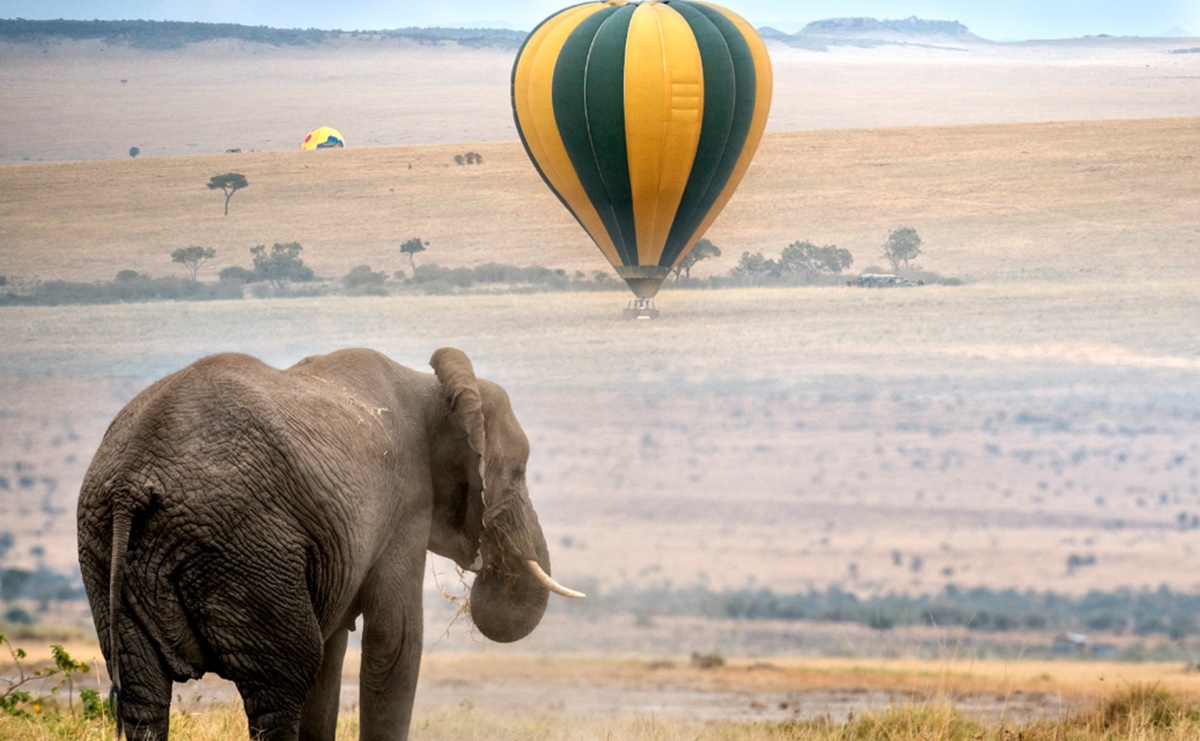 Serengeti