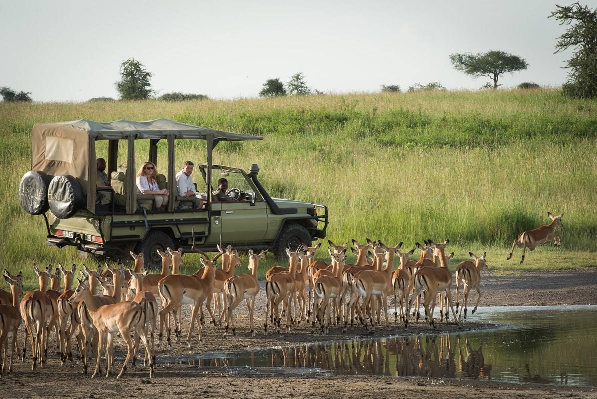 Dunia Camp en Serengeti