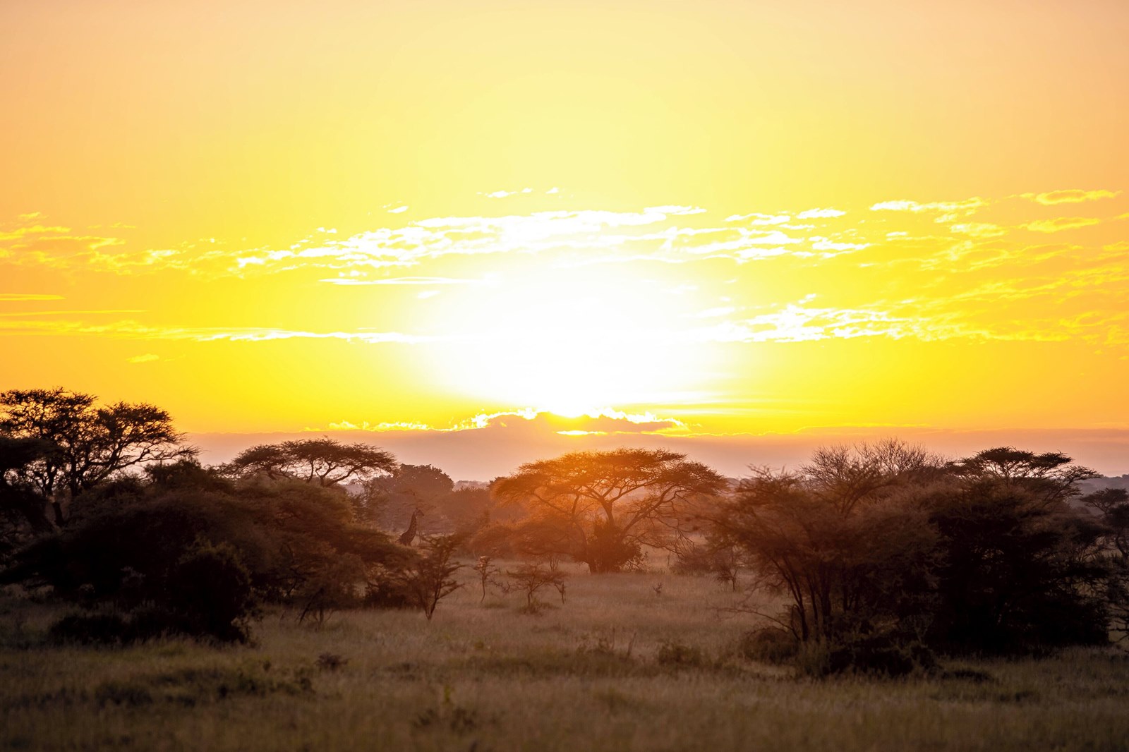Escarpment Luxury Lodge en Serengeti