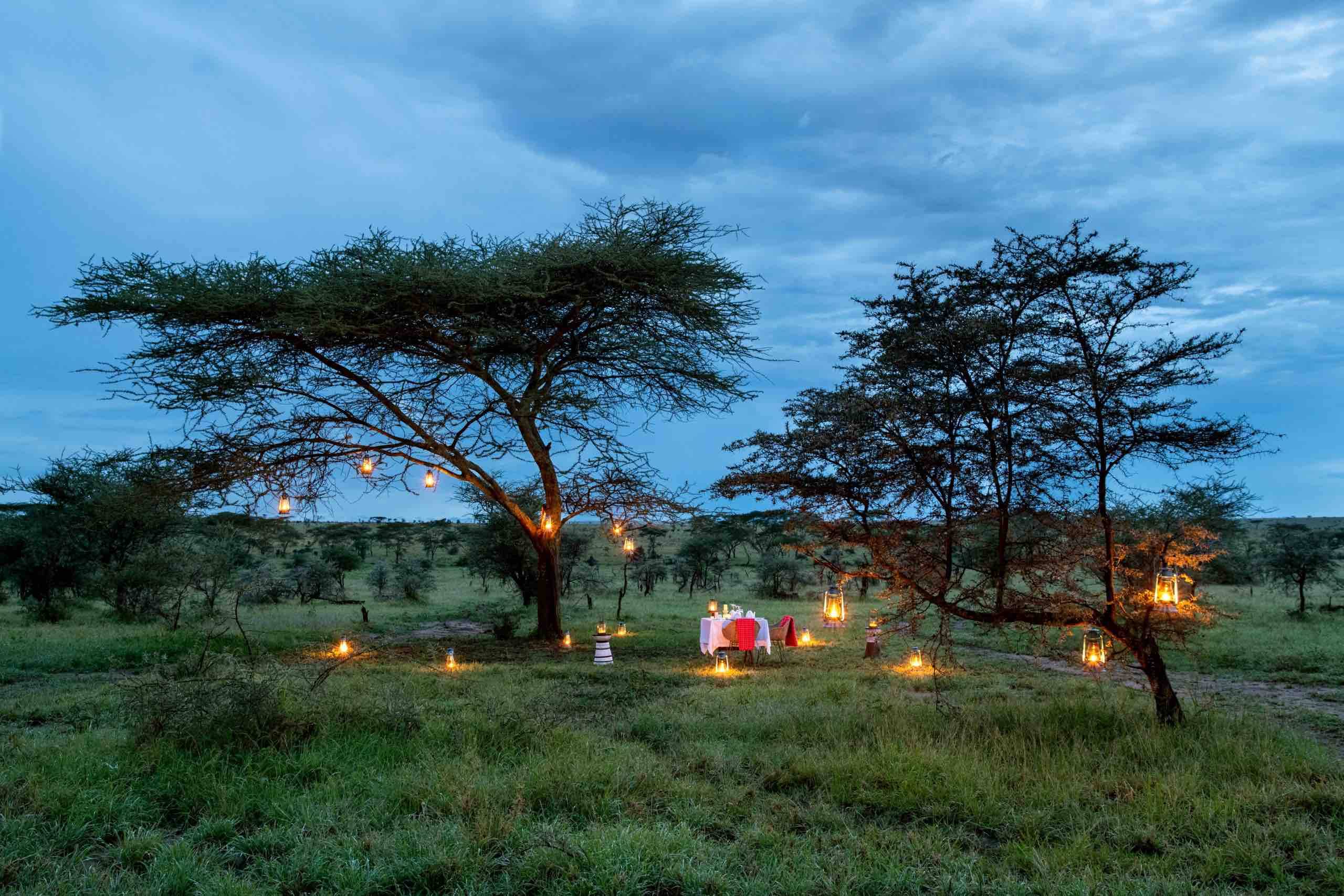Lemala Nanyukie Lodge  en Serengeti