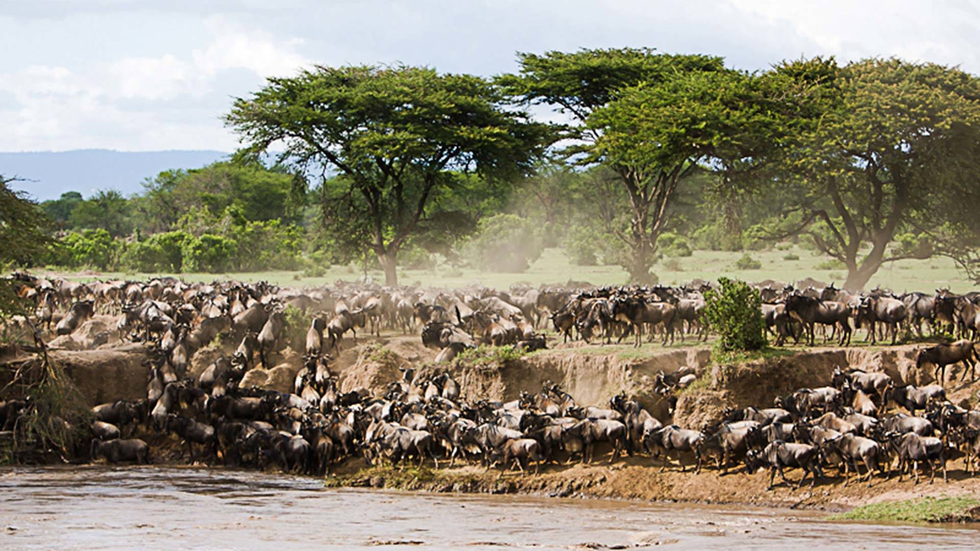 Mila Tented Camp en Serengeti