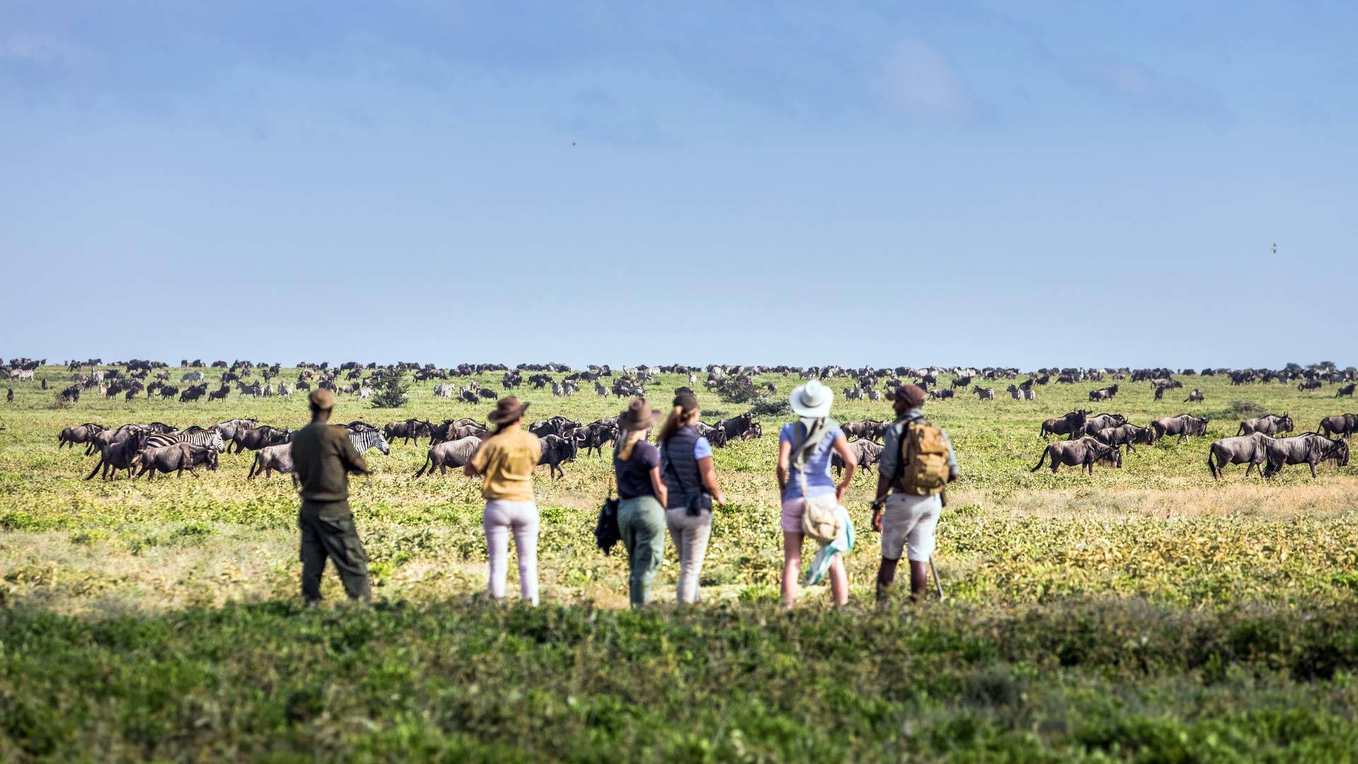 Mila Tented Camp en Serengeti
