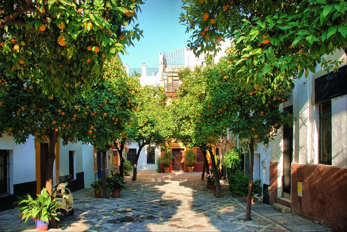 Sevilla | LAT.40