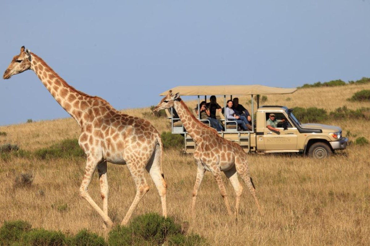 Botlierskop Reserve en South Africa