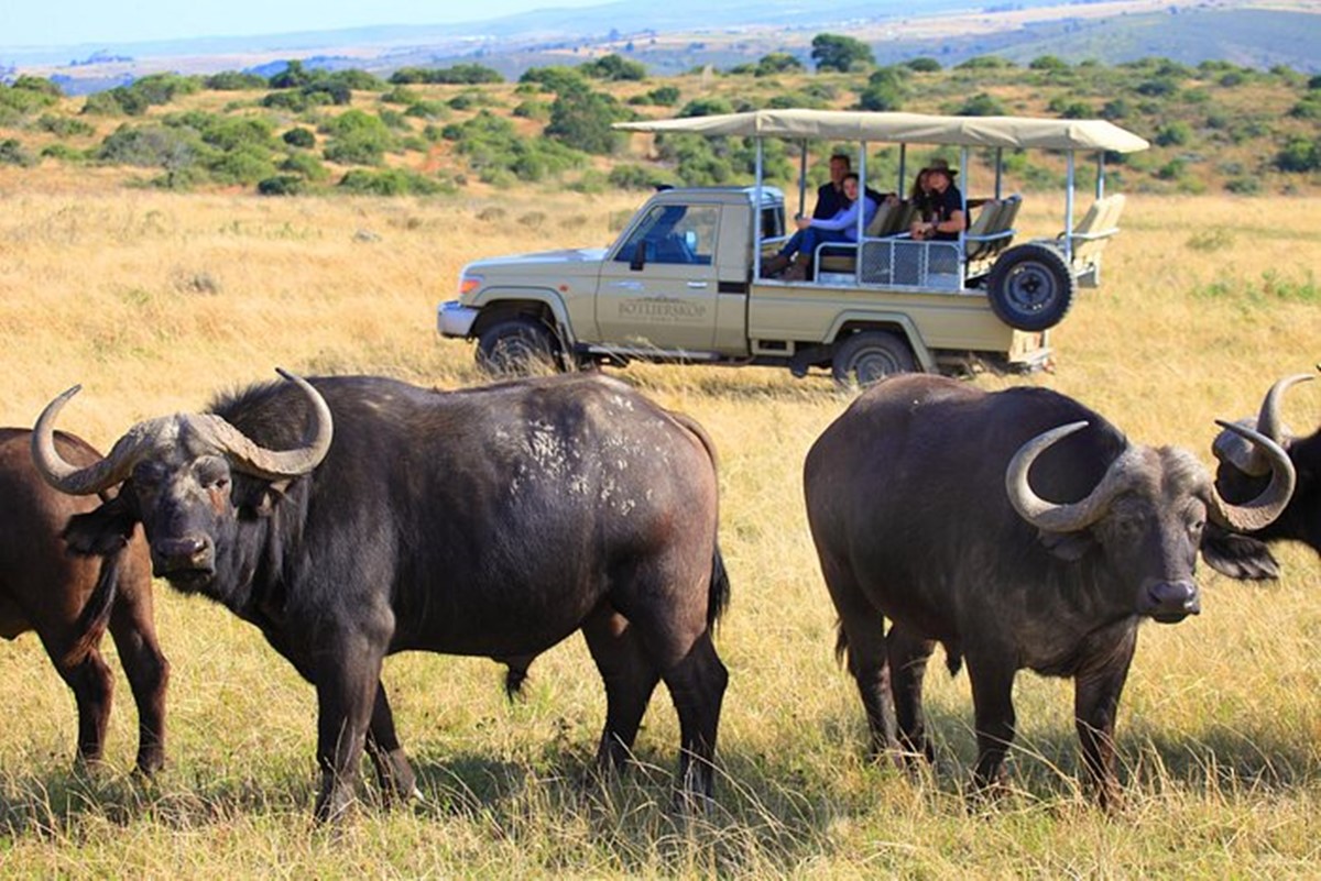 Botlierskop Reserve en South Africa