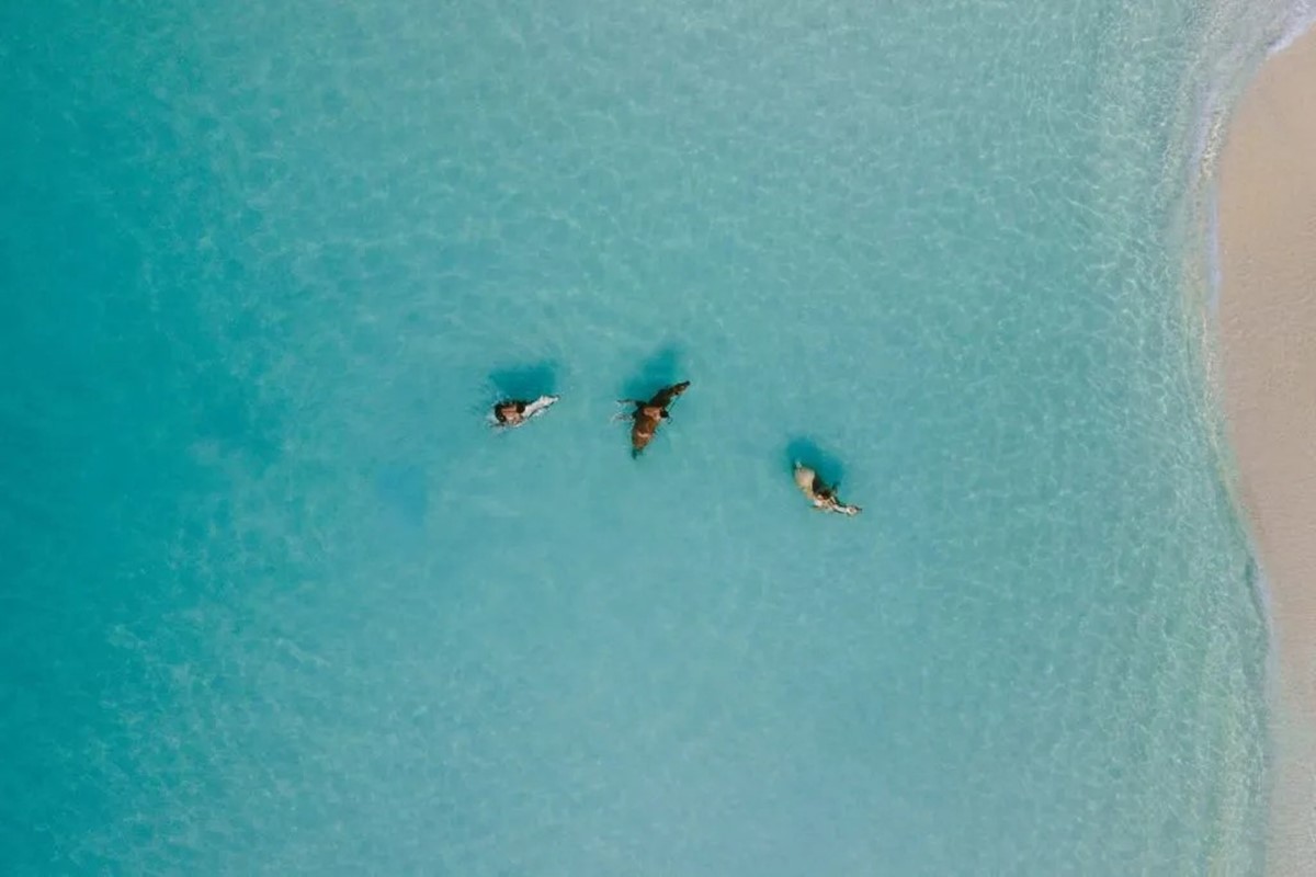 The Sanubari en Sumba Island