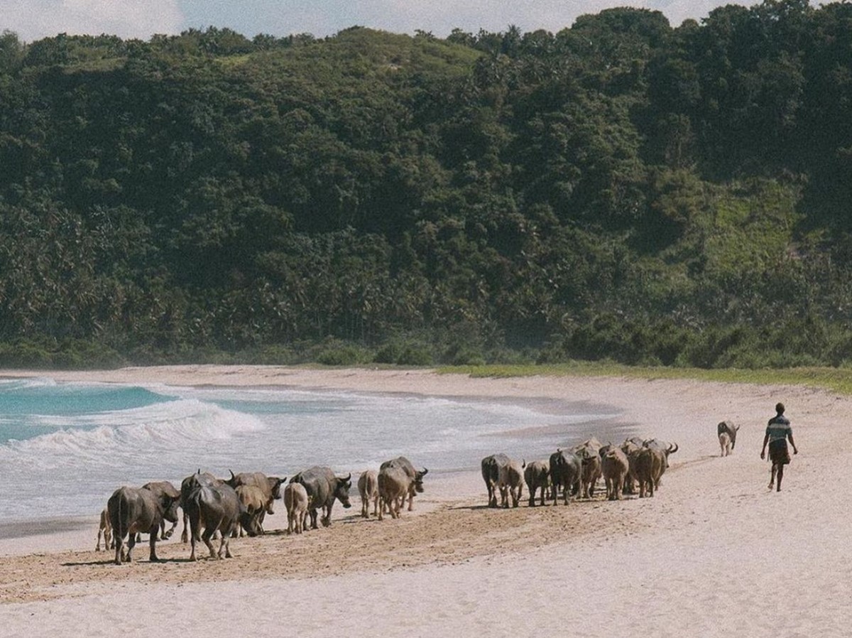 The Sanubari en Sumba Island
