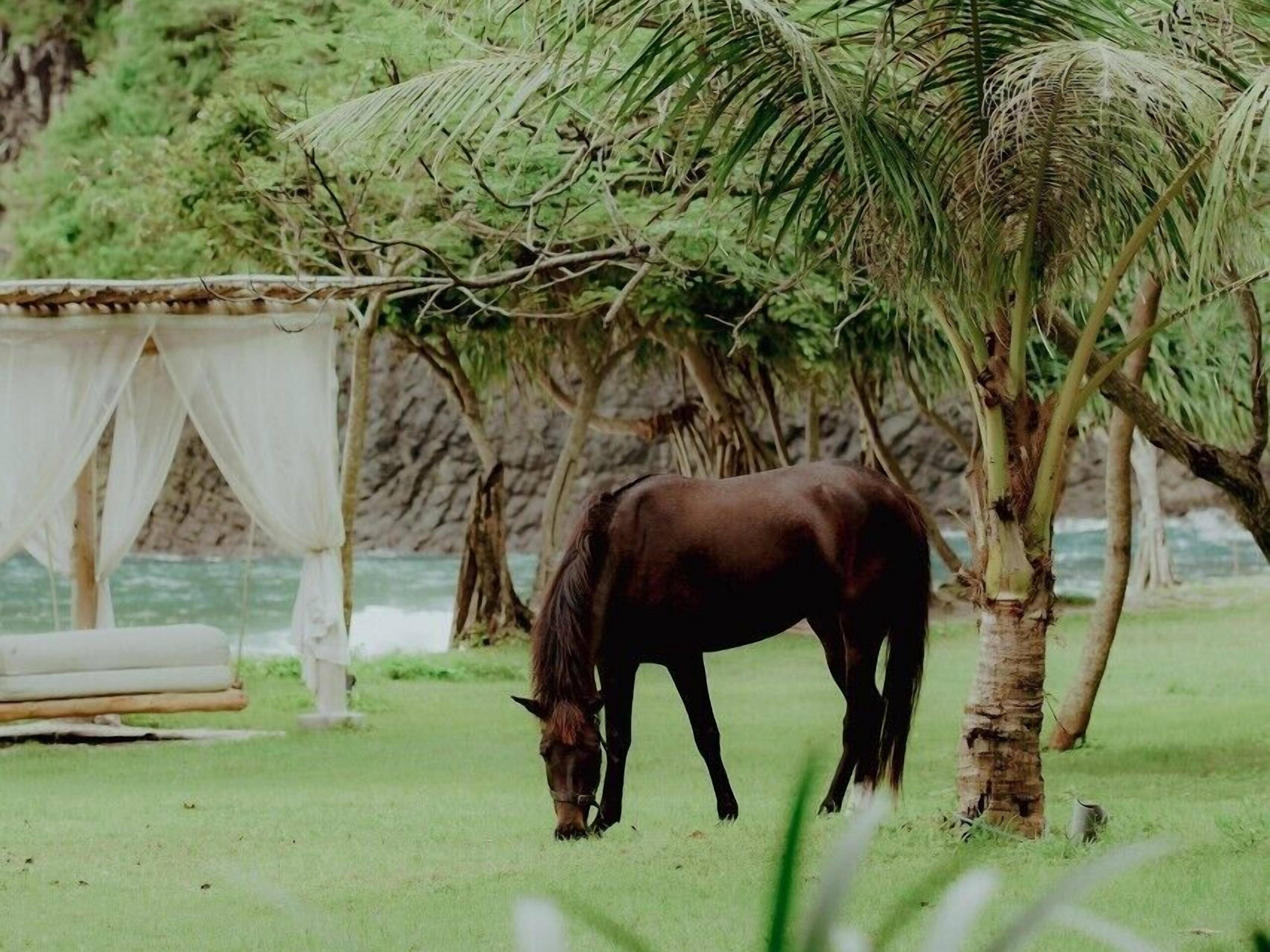 Kini Resort & Village en Sumbawa