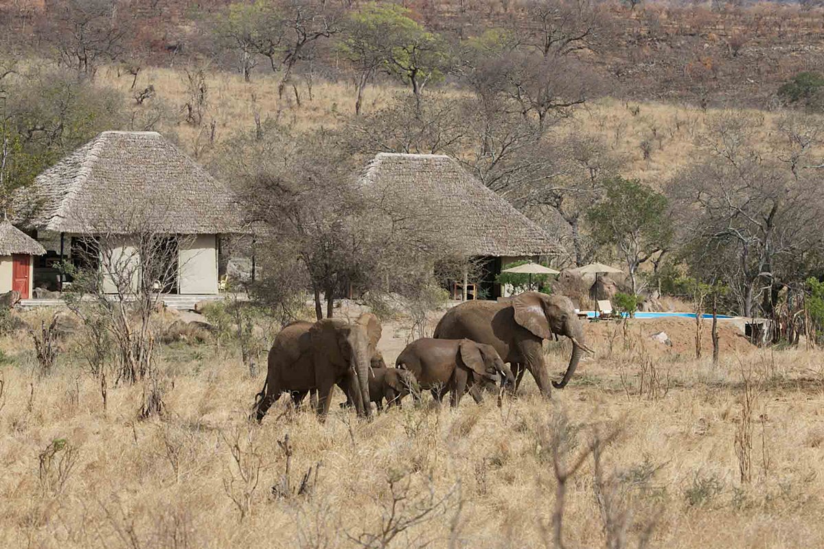 Nimali Tarangire en Tarangire