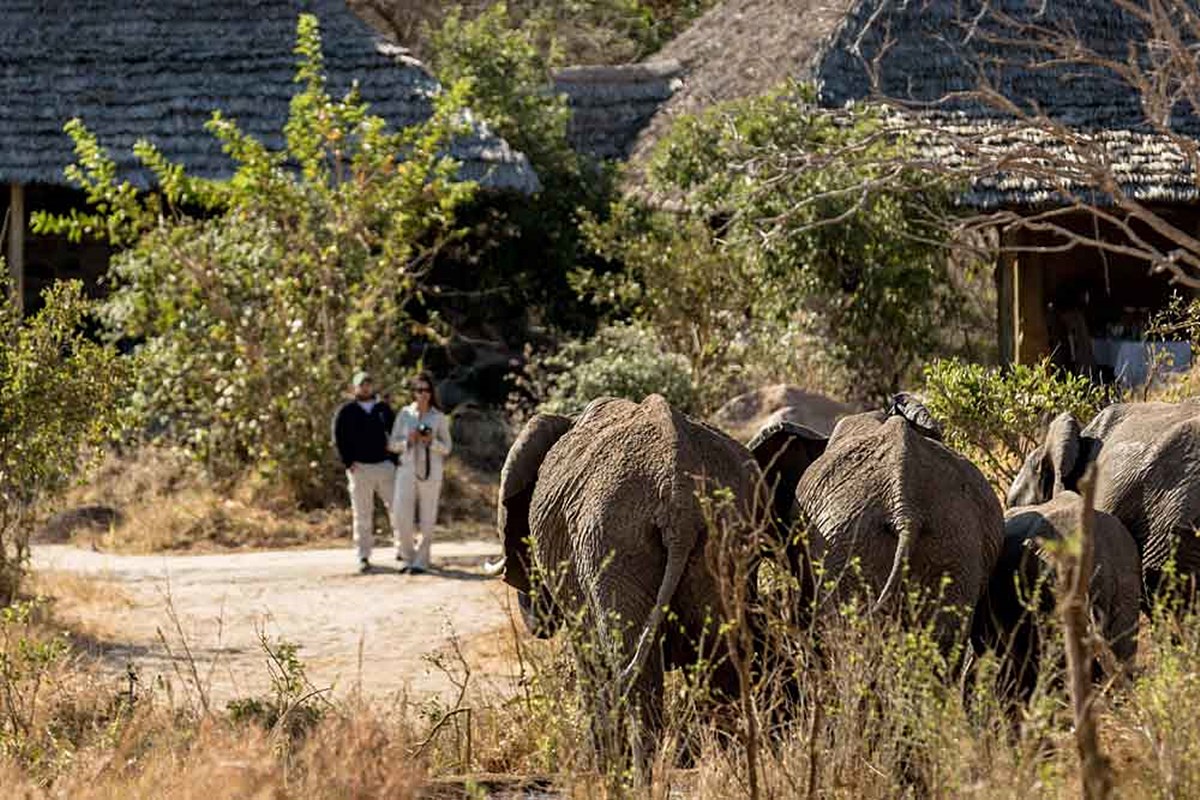 Nimali Tarangire en Tarangire