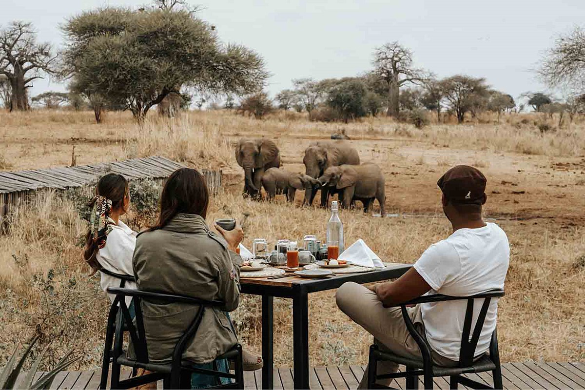 Nimali Tarangire en Tarangire