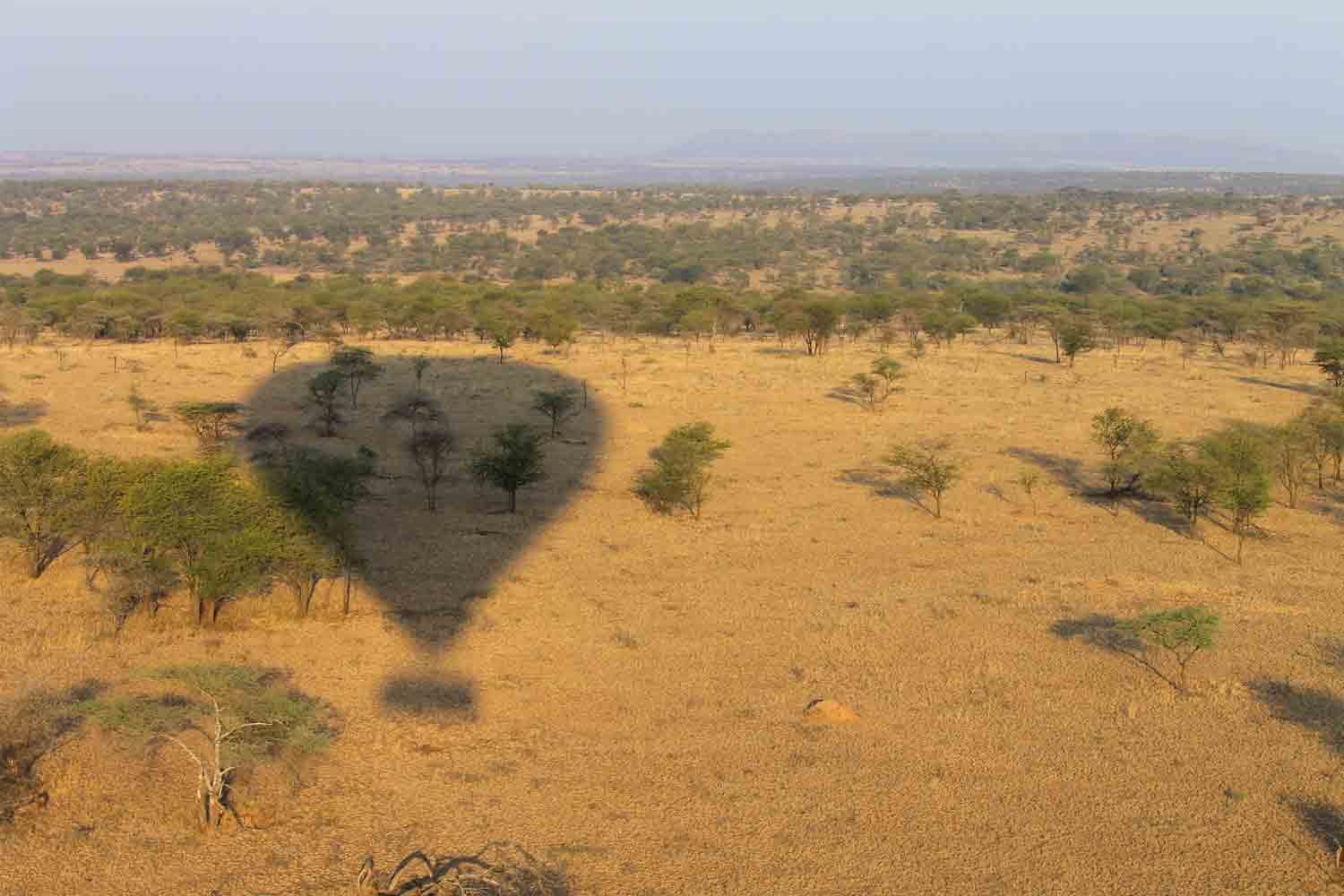 Nimali Serengeti  en Serengeti