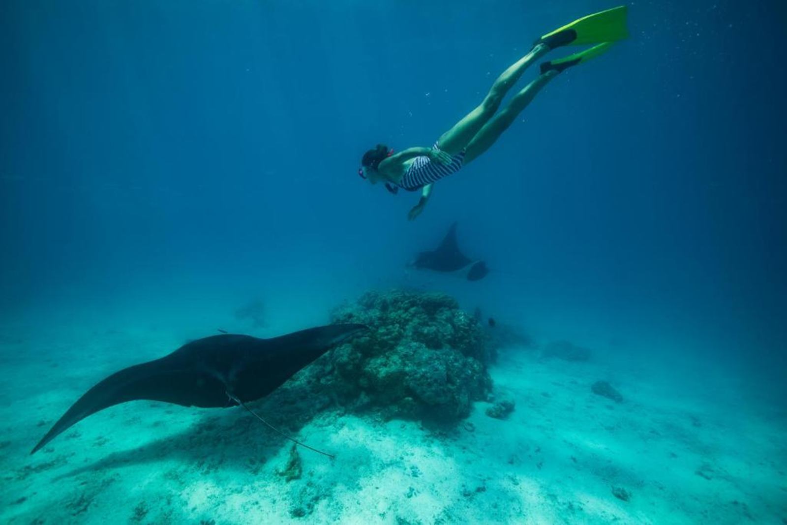 Fafarua Private Island & Lodge  en Tikehau