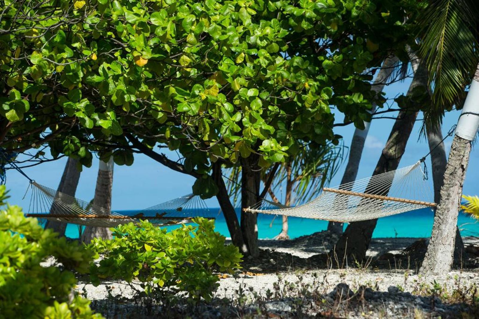 Fafarua Private Island & Lodge  en Tikehau