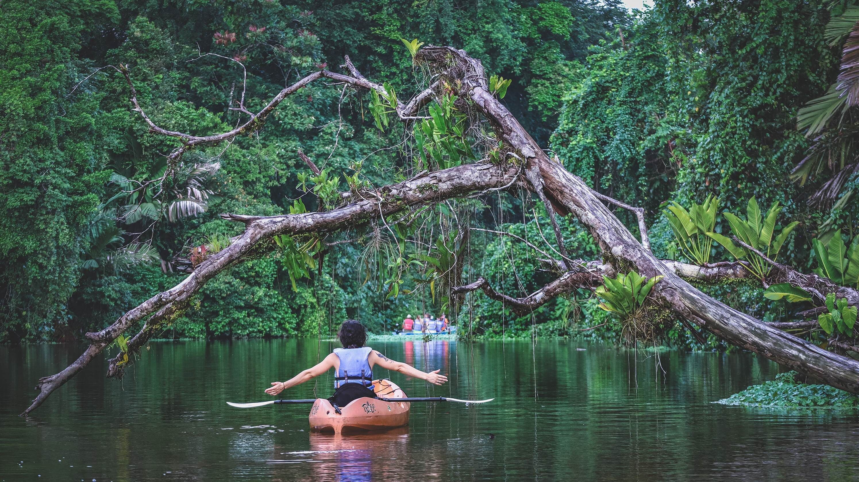Tortuga Lodge and Gardens by Böëna en Tortuguero