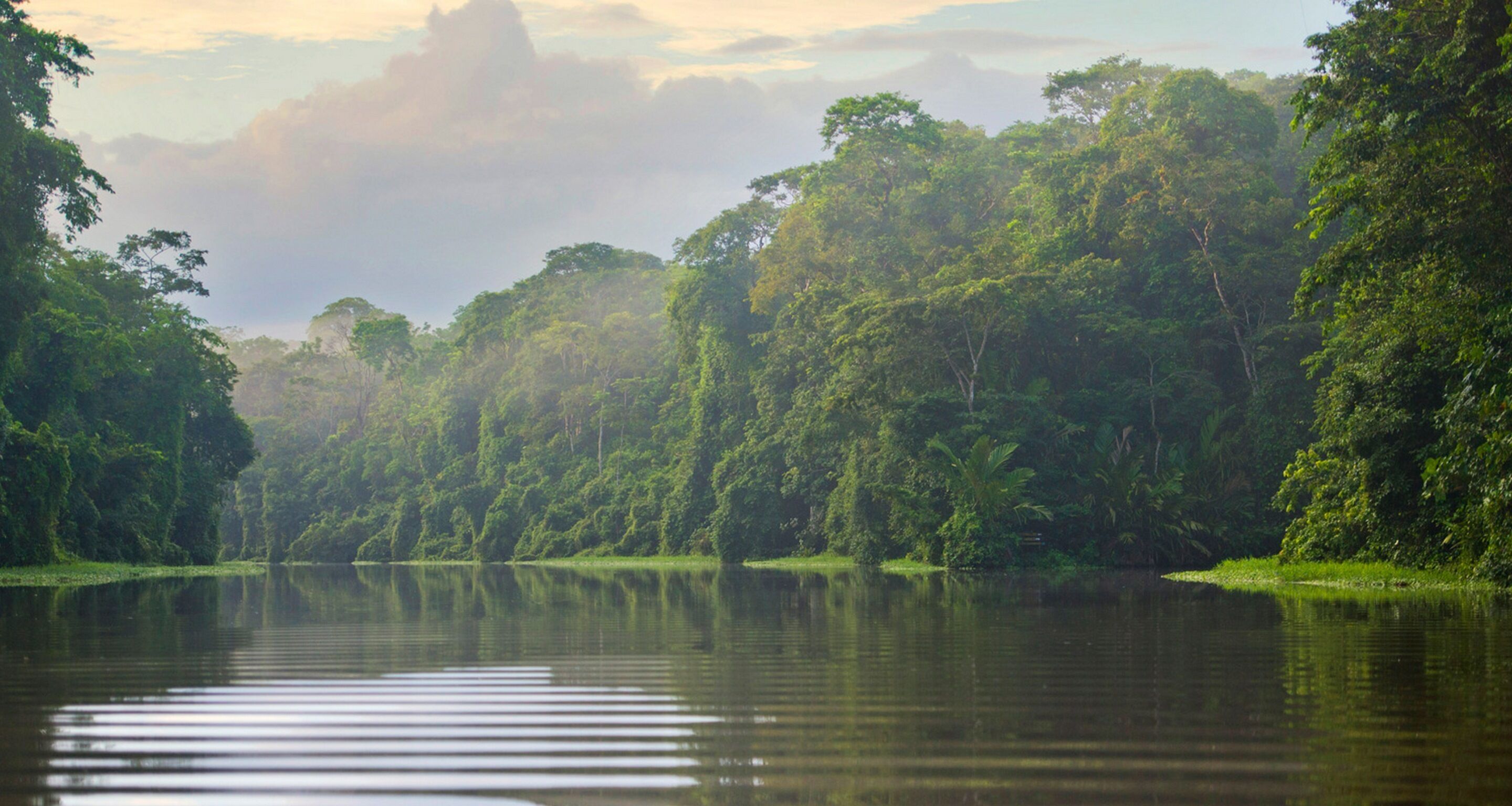 Tortuga Lodge and Gardens by Böëna en Tortuguero