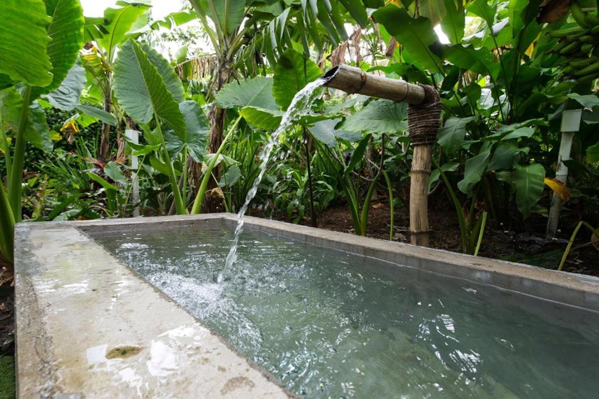 The Moso Vanuatu en Vanuatu