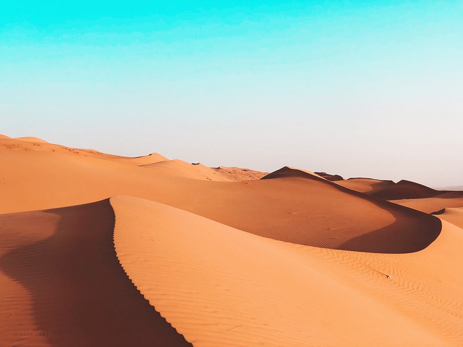 Wahiba Sands | LAT.40