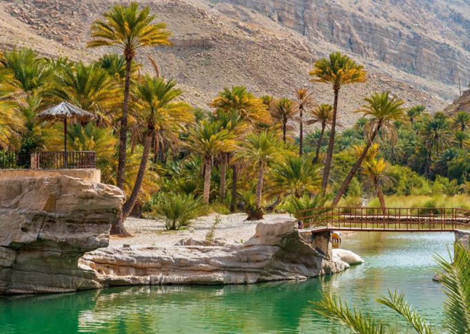 Wahiba Sands | LAT.40