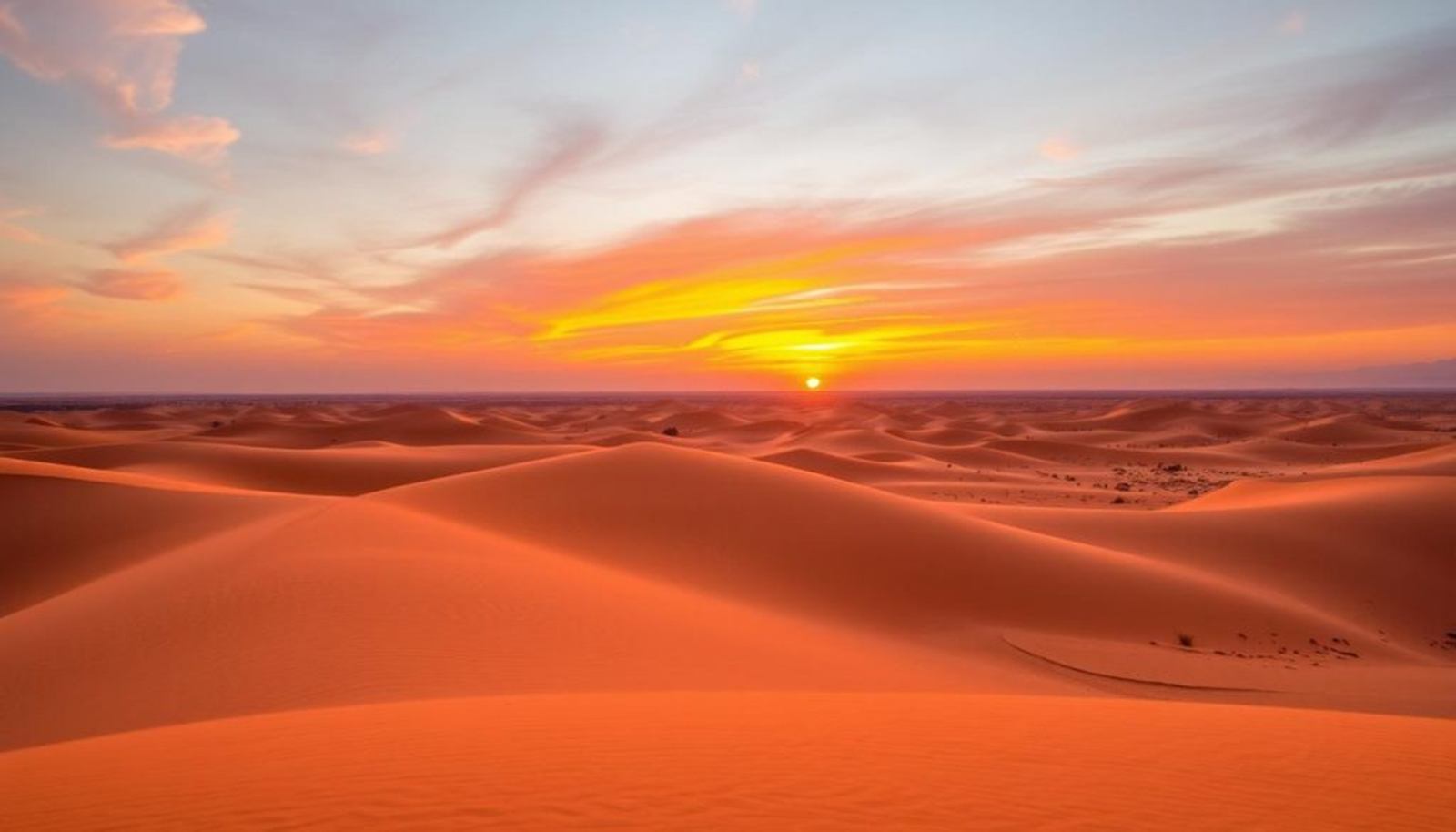 Wahiba Sands | LAT.40