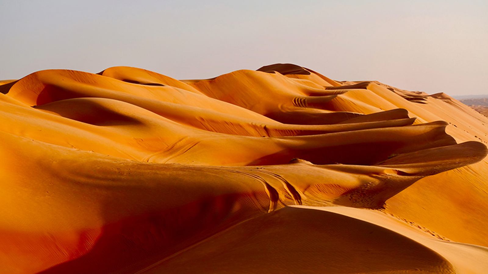 Wahiba Sands | LAT.40