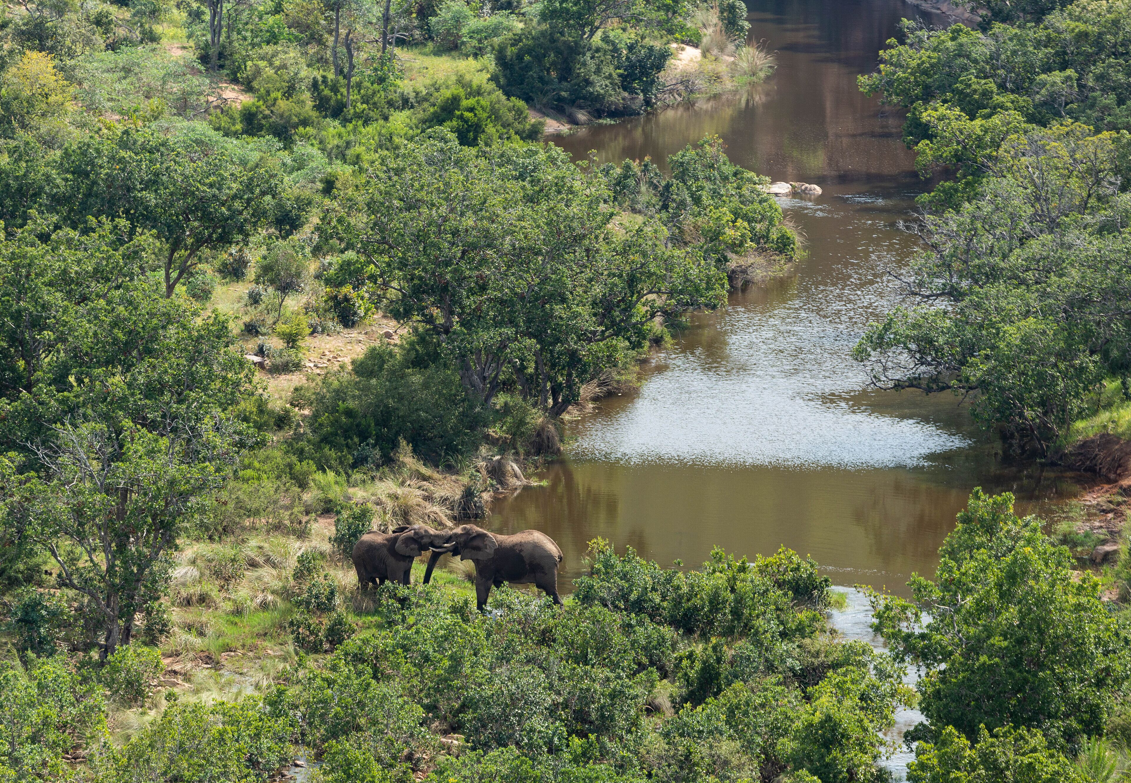 Clifftop Exclusive Safari Hideaway en The Waterberg