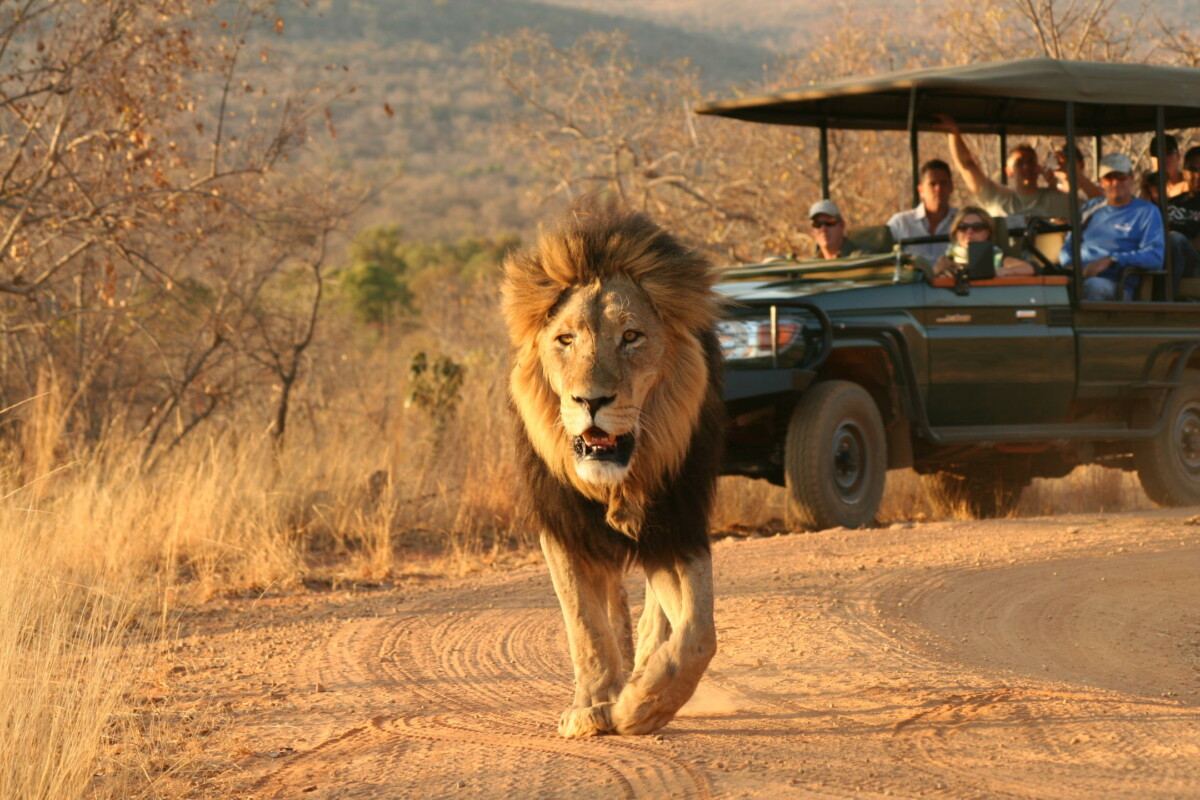 Welgevonden Game Reserve