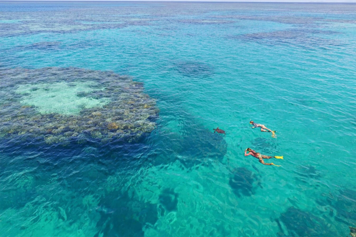 Catamaran Privado Whitesunday en Gran Barrera de Coral