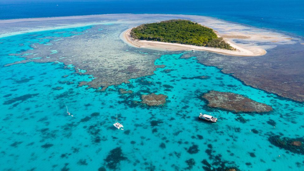Catamaran Privado Whitesunday en Gran Barrera de Coral