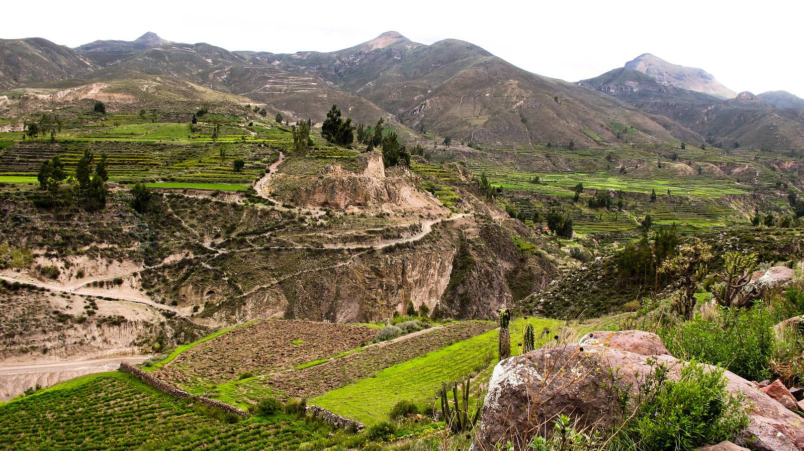 Imagen de viaje LAT.40