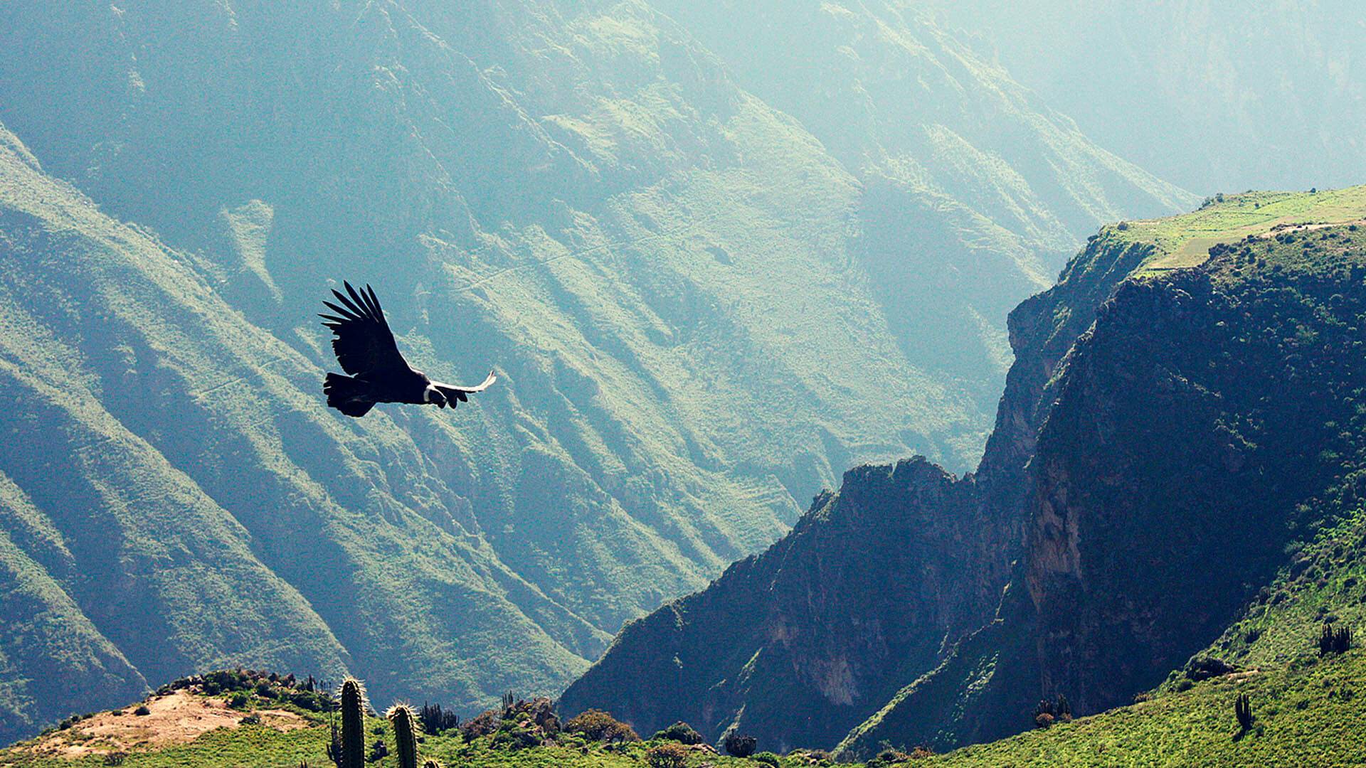 Imagen de viaje LAT.40