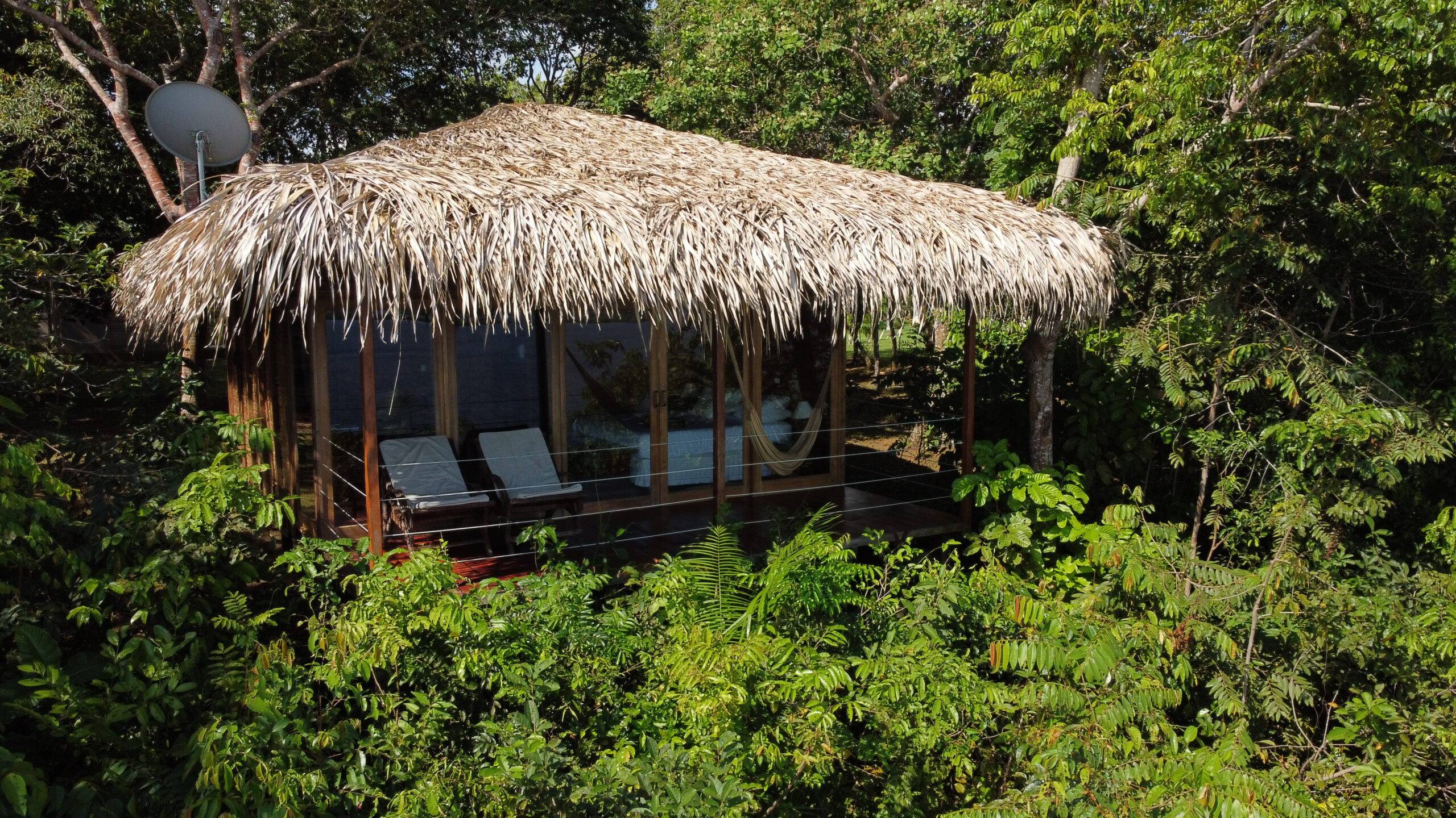 Amazonas