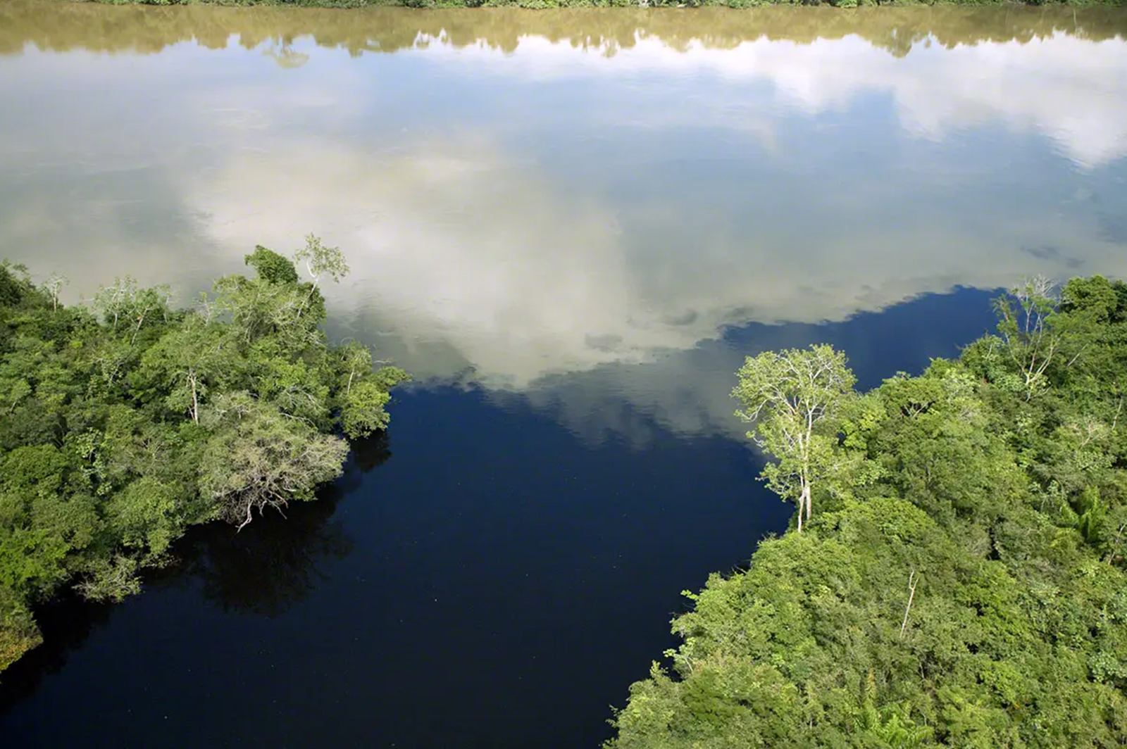 Cristalino Lodge en Amazonas