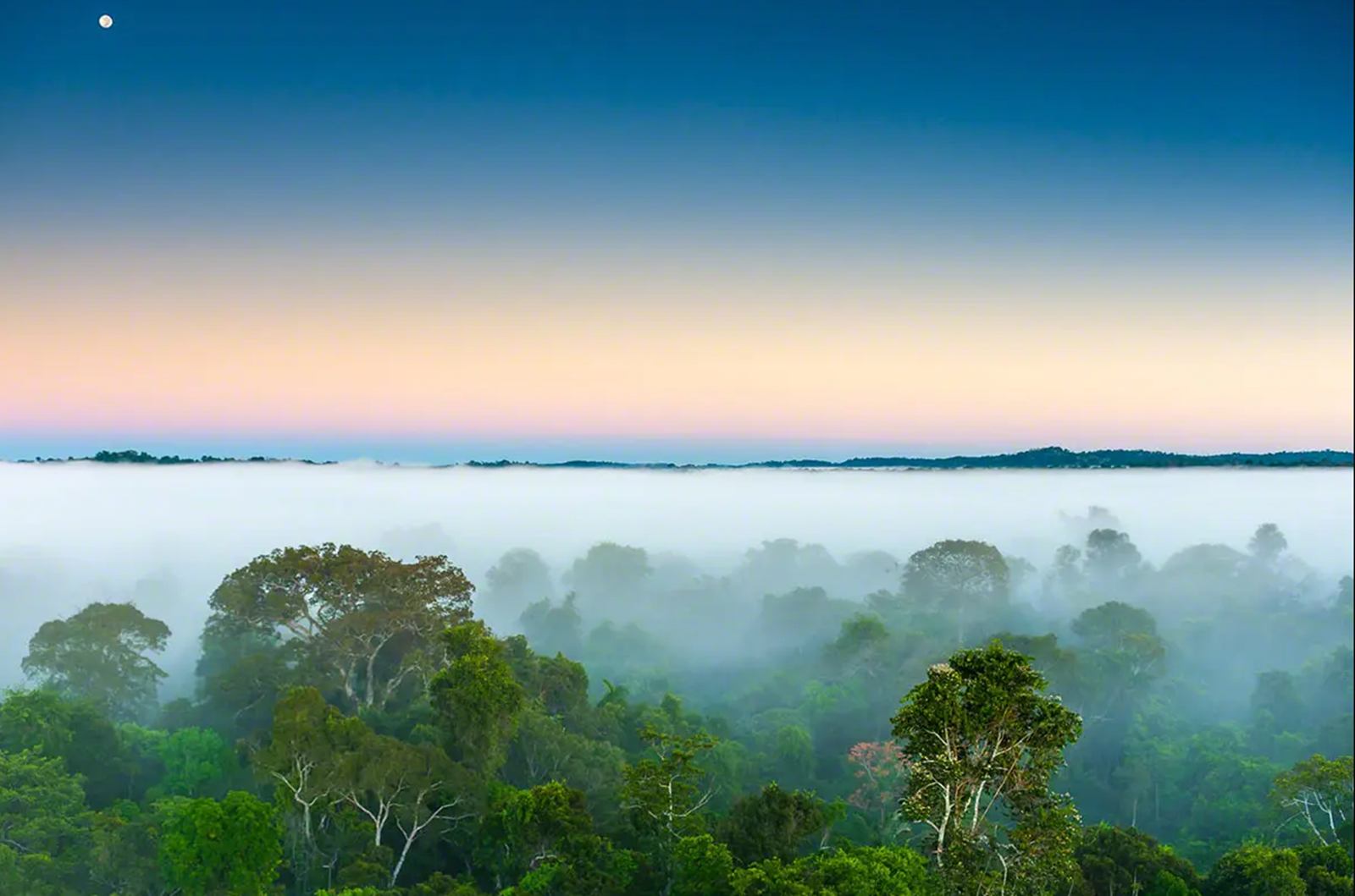 Cristalino Lodge en Amazonas