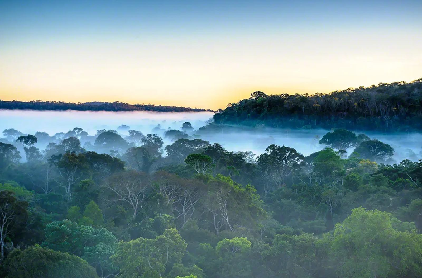 Cristalino Lodge en Amazonas