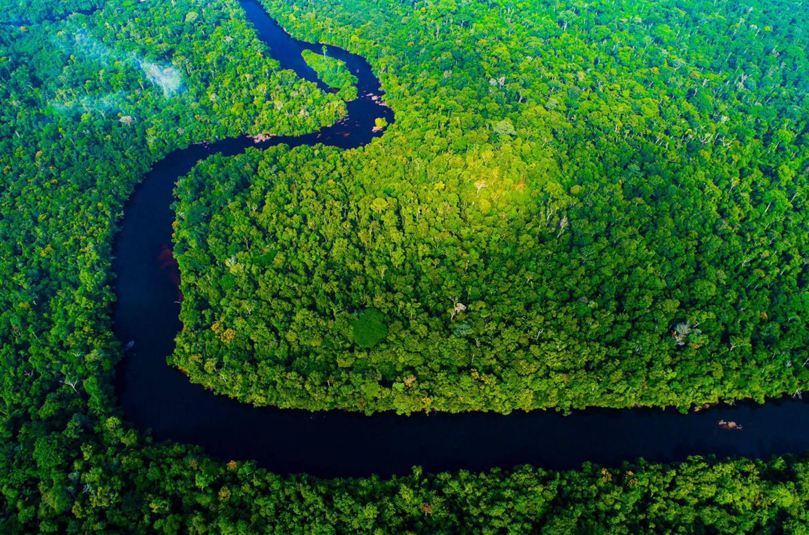 Cristalino Lodge en Amazonas