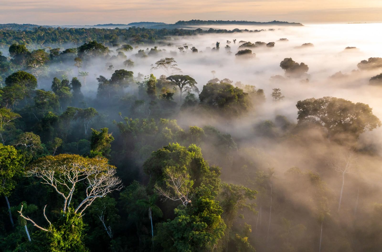 Cristalino Lodge en Amazonas